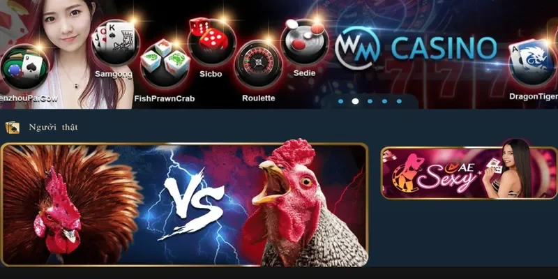 đá gà trực tuyến casino